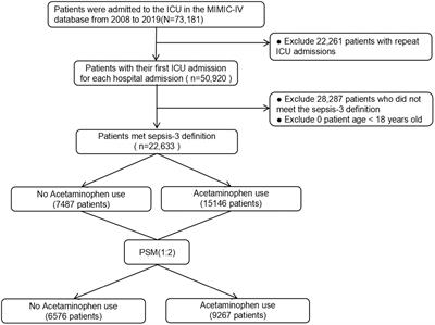 Association between acetaminophen administration and clinical outcomes in patients with sepsis admitted to the ICU: a retrospective cohort study